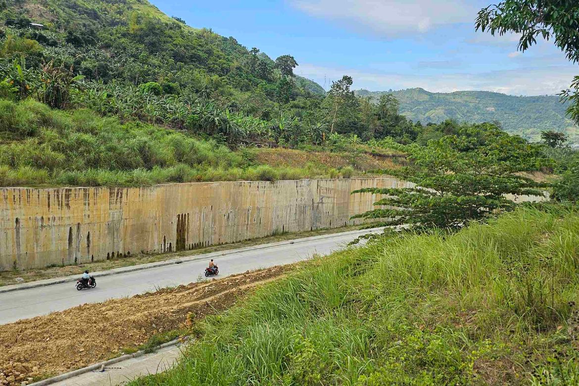 Land for Sale in Cantao-An, Naga, Cebu – photo 8
