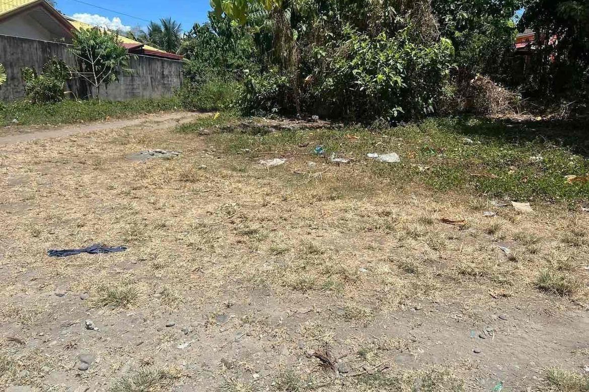 Land for Sale in Cantil-E, Dumaguete, Negros Oriental