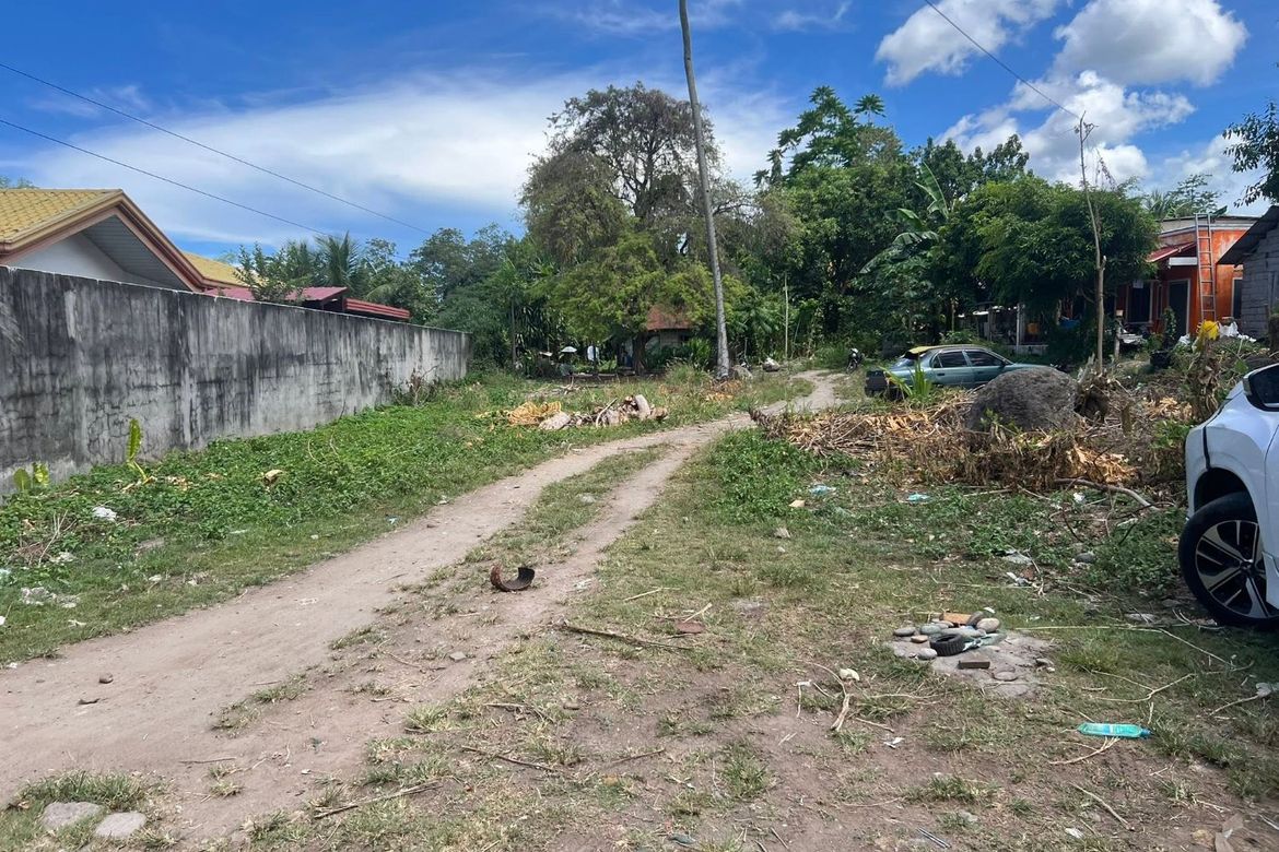 Land for Sale in Cantil-E, Dumaguete, Negros Oriental – photo 3