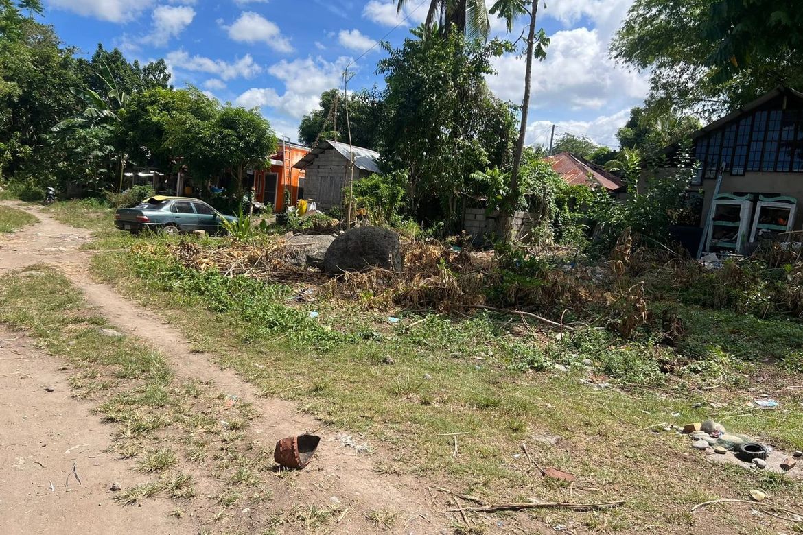 Land for Sale in Cantil-E, Dumaguete, Negros Oriental – photo 6