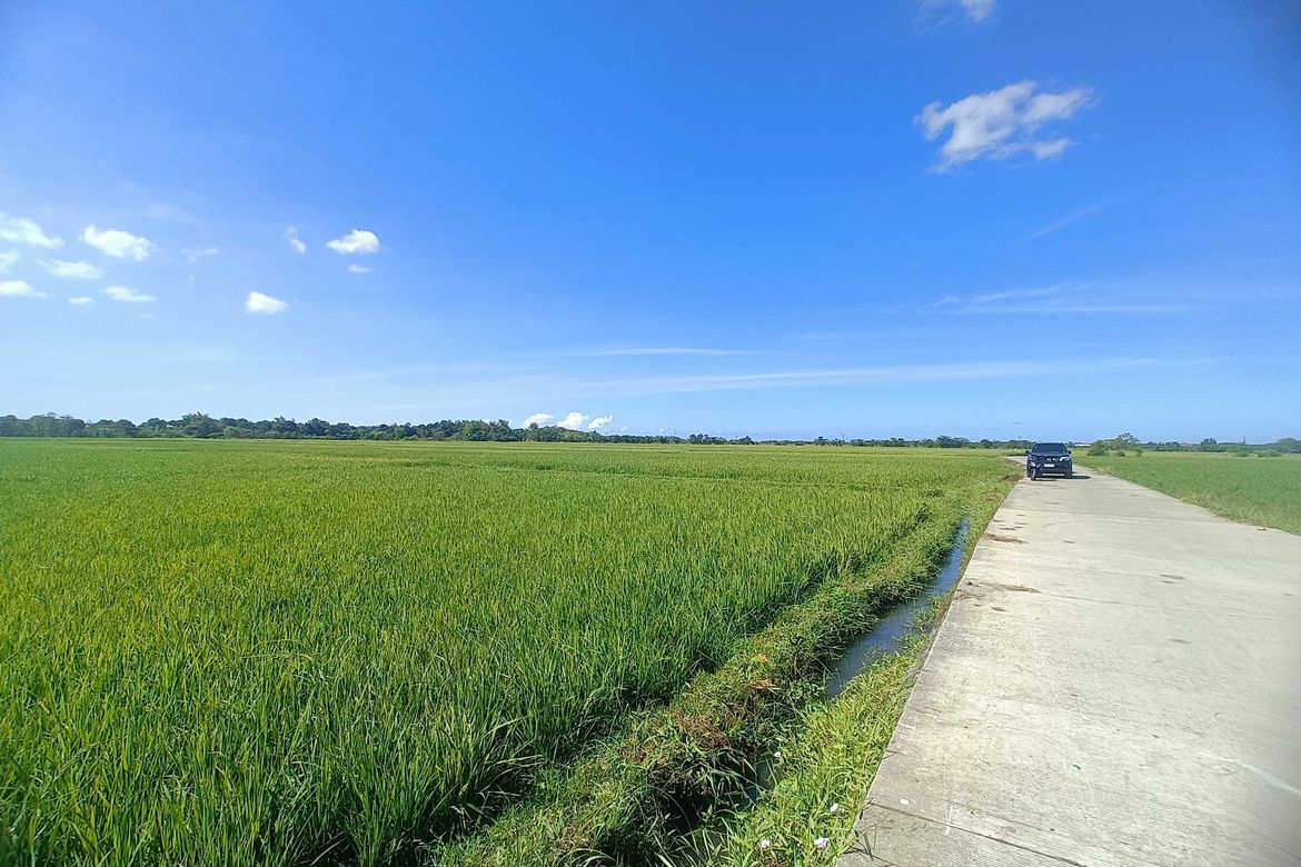 Land for Sale in Capangdanan, Bantay, Ilocos Sur – photo 3