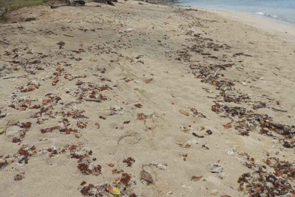 Land for Sale in Caparispisan, Pagudpud, Ilocos Norte – photo 2