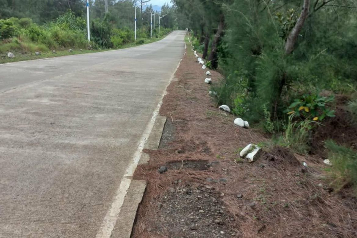 Land for Sale in Caparispisan, Pagudpud, Ilocos Norte – photo 5