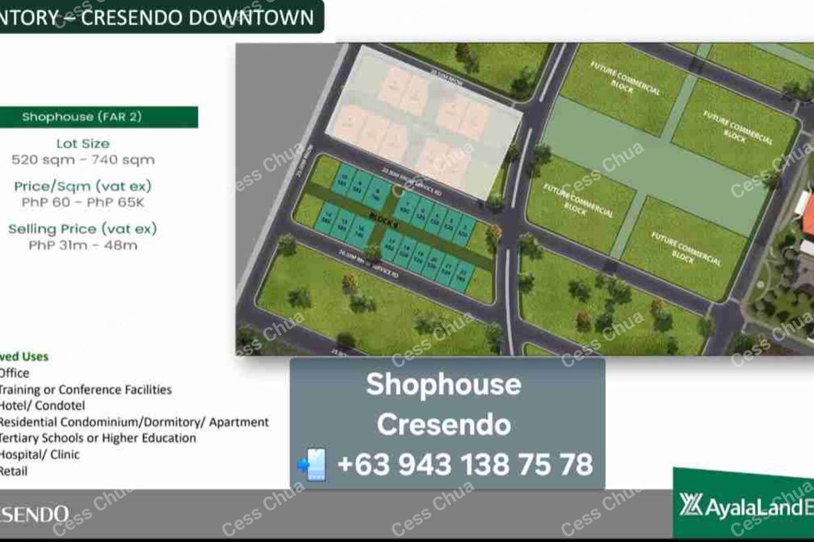 Land for Sale in Capehan, Tarlac, Tarlac – photo 3