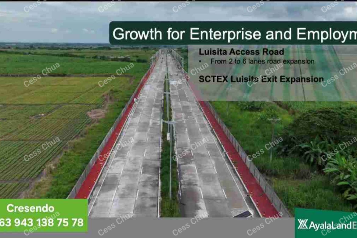 Land for Sale in Capehan, Tarlac, Tarlac – photo 4