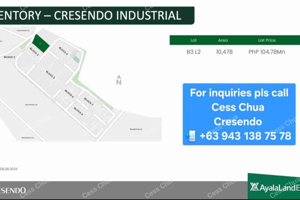 Land for Sale in Capehan, Tarlac, Tarlac – photo 6