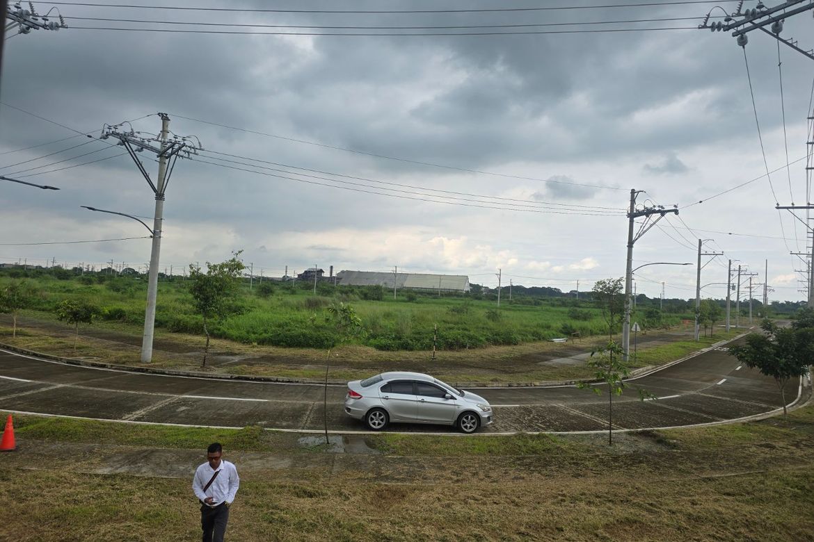 Land for Sale in Capehan, Tarlac, Tarlac – photo 2