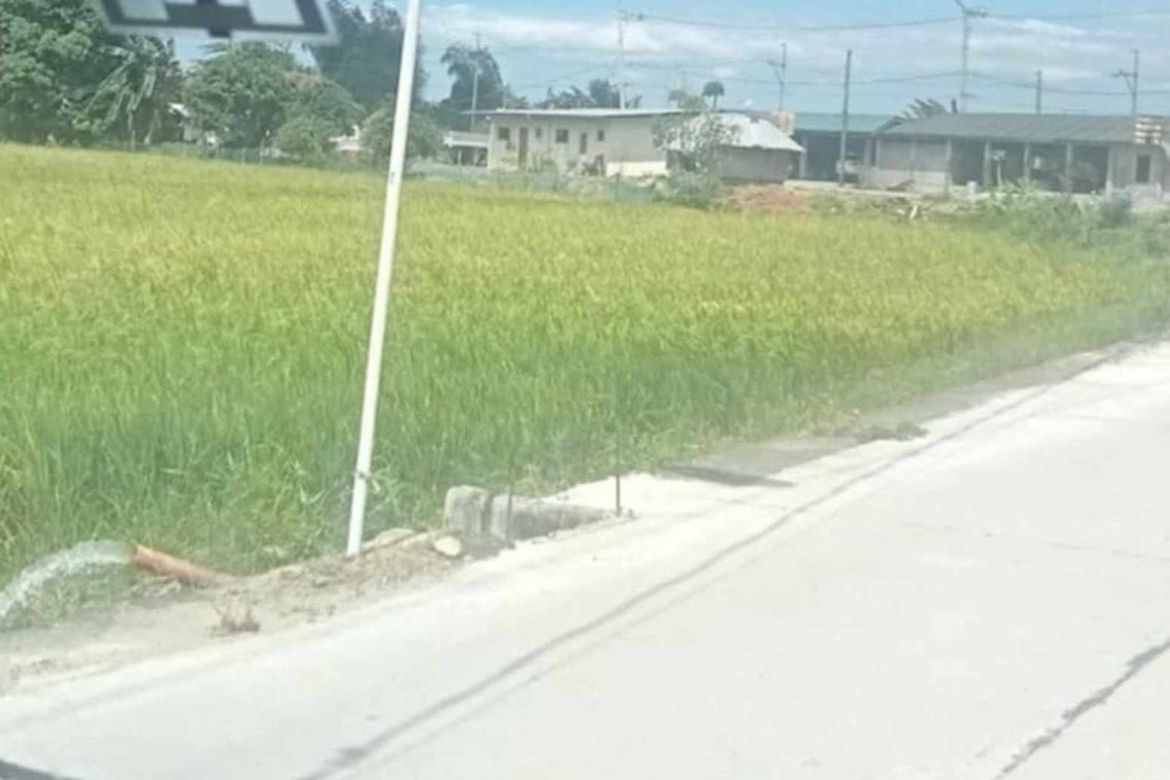 Land for Sale in Capihan, San Rafael, Bulacan – photo 2