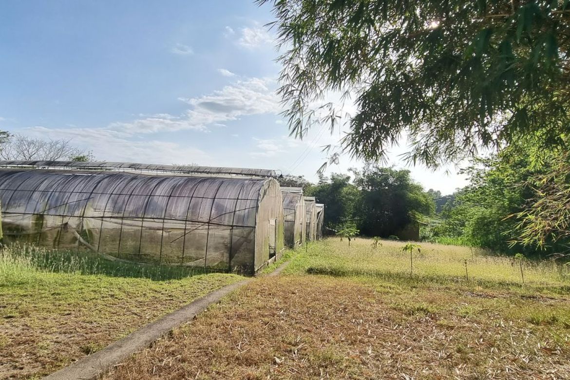 Land for Sale in Capihan, San Rafael, Bulacan