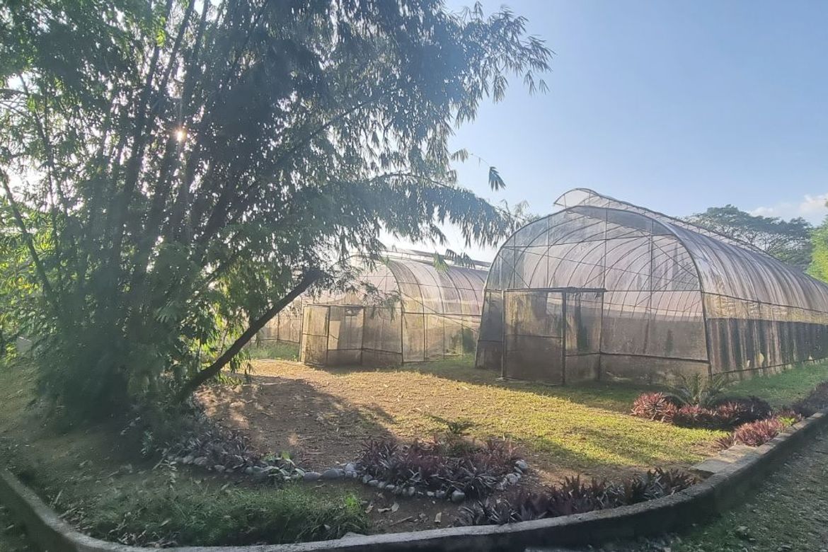 Land for Sale in Capihan, San Rafael, Bulacan – photo 2