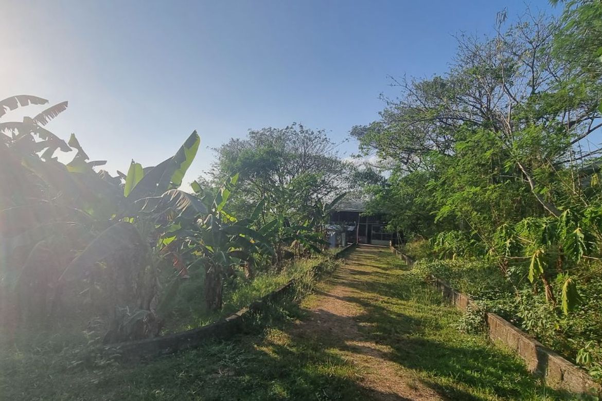 Land for Sale in Capihan, San Rafael, Bulacan – photo 3