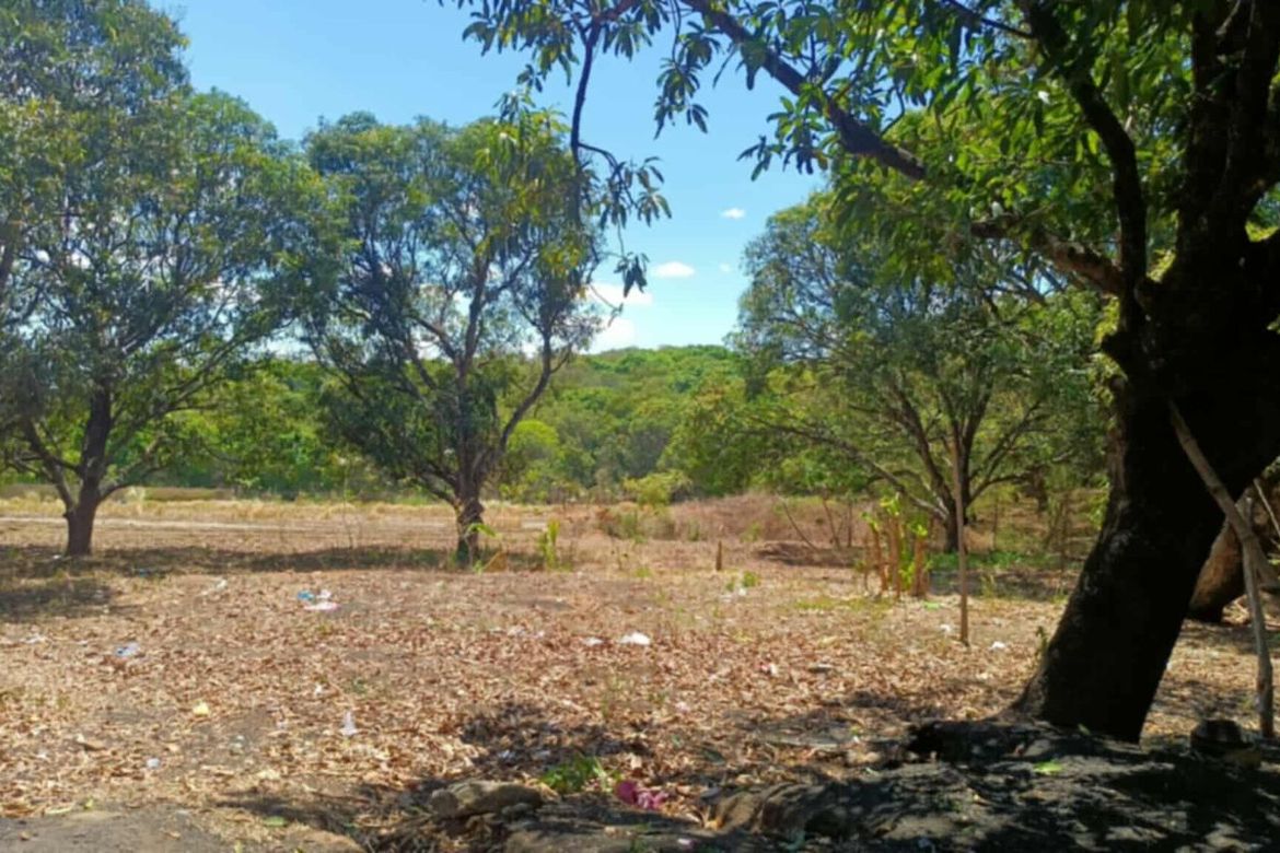 Land for Sale in Capihan, San Rafael, Bulacan – photo 2