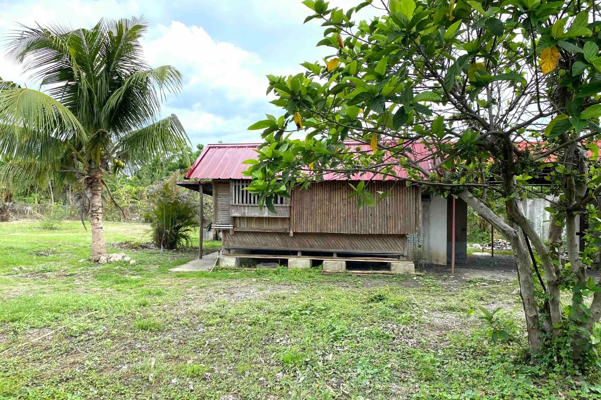 Land for Sale in Capipisa, Tanza, Cavite – photo 3