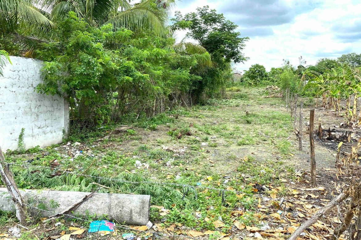 Land for Sale in Capipisa, Tanza, Cavite – photo 4