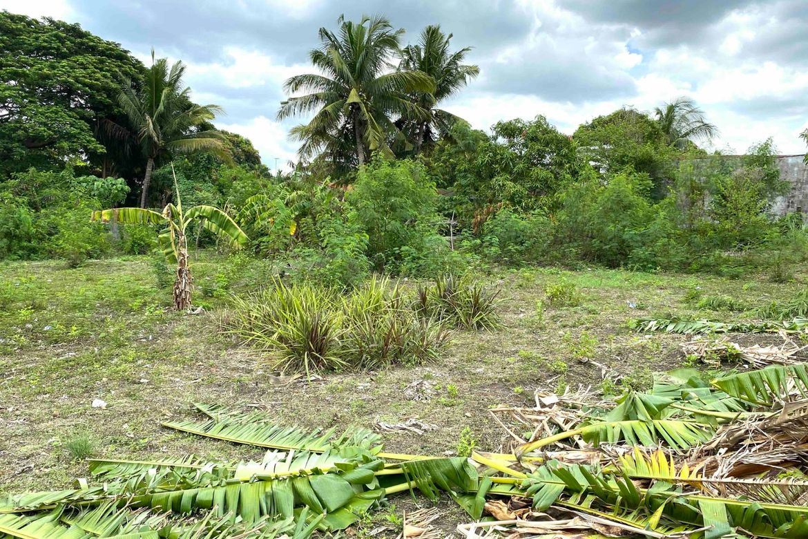 Land for Sale in Capipisa, Tanza, Cavite – photo 5