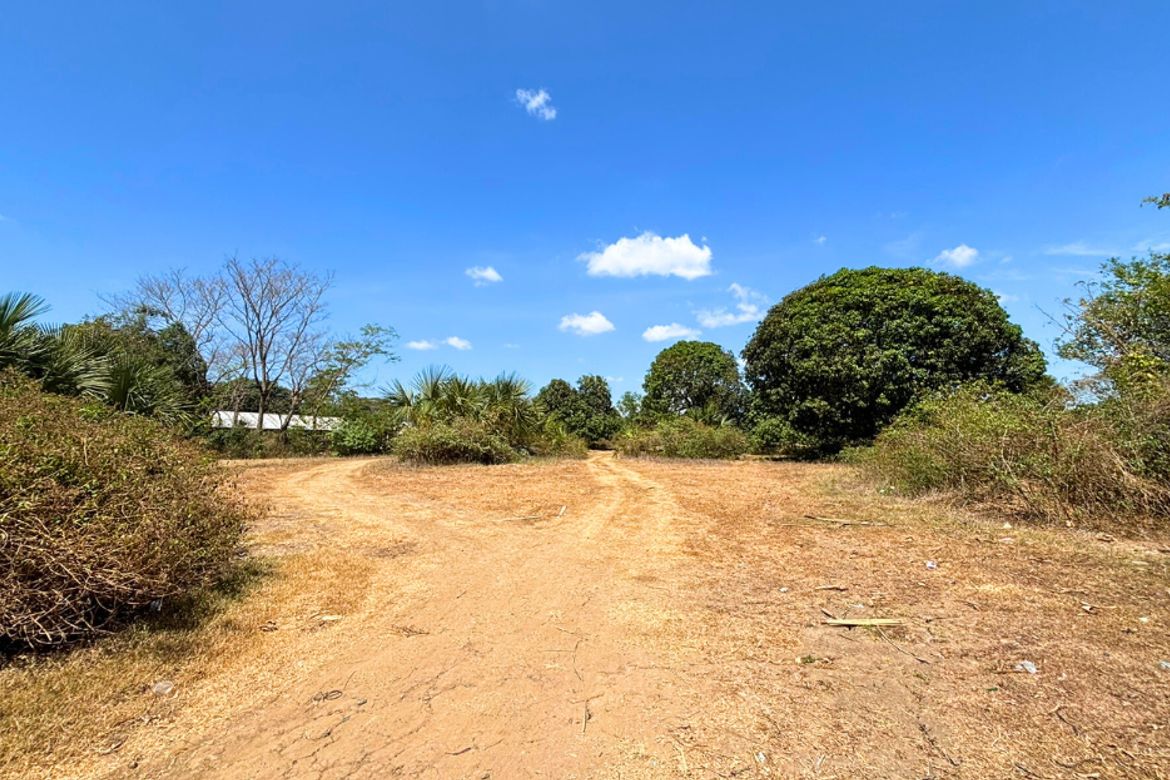 Land for Sale in Capulaan, Villasis, Pangasinan – photo 2