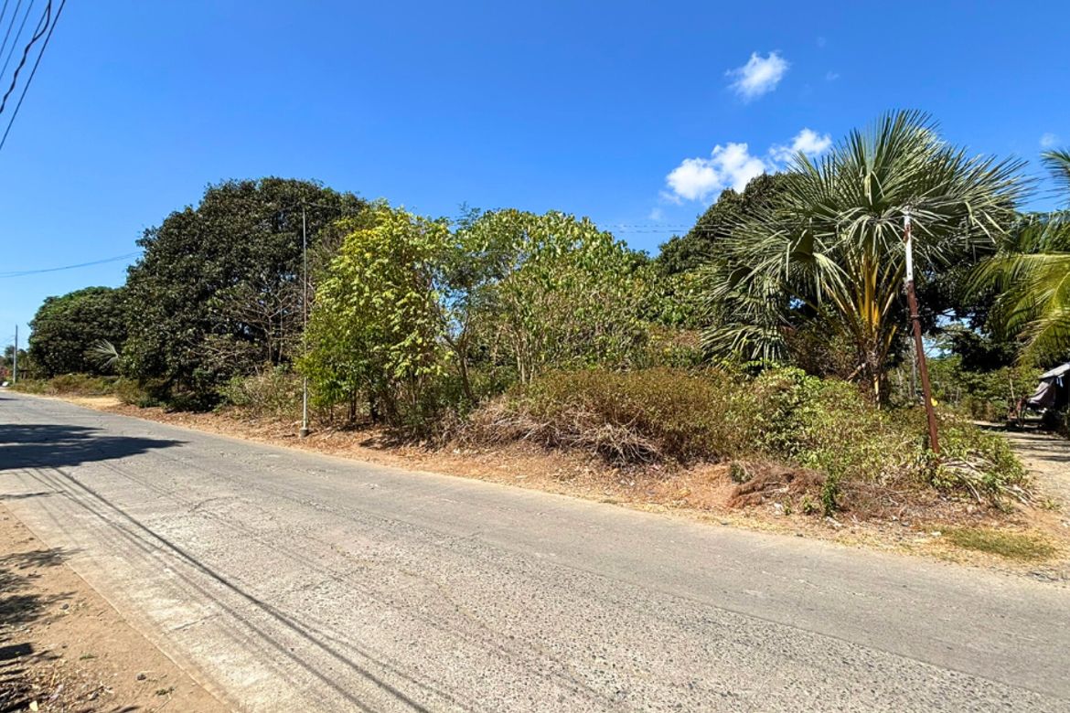 Land for Sale in Capulaan, Villasis, Pangasinan – photo 6