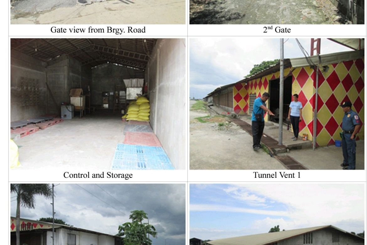 Land for Sale in Capulaan, Villasis, Pangasinan