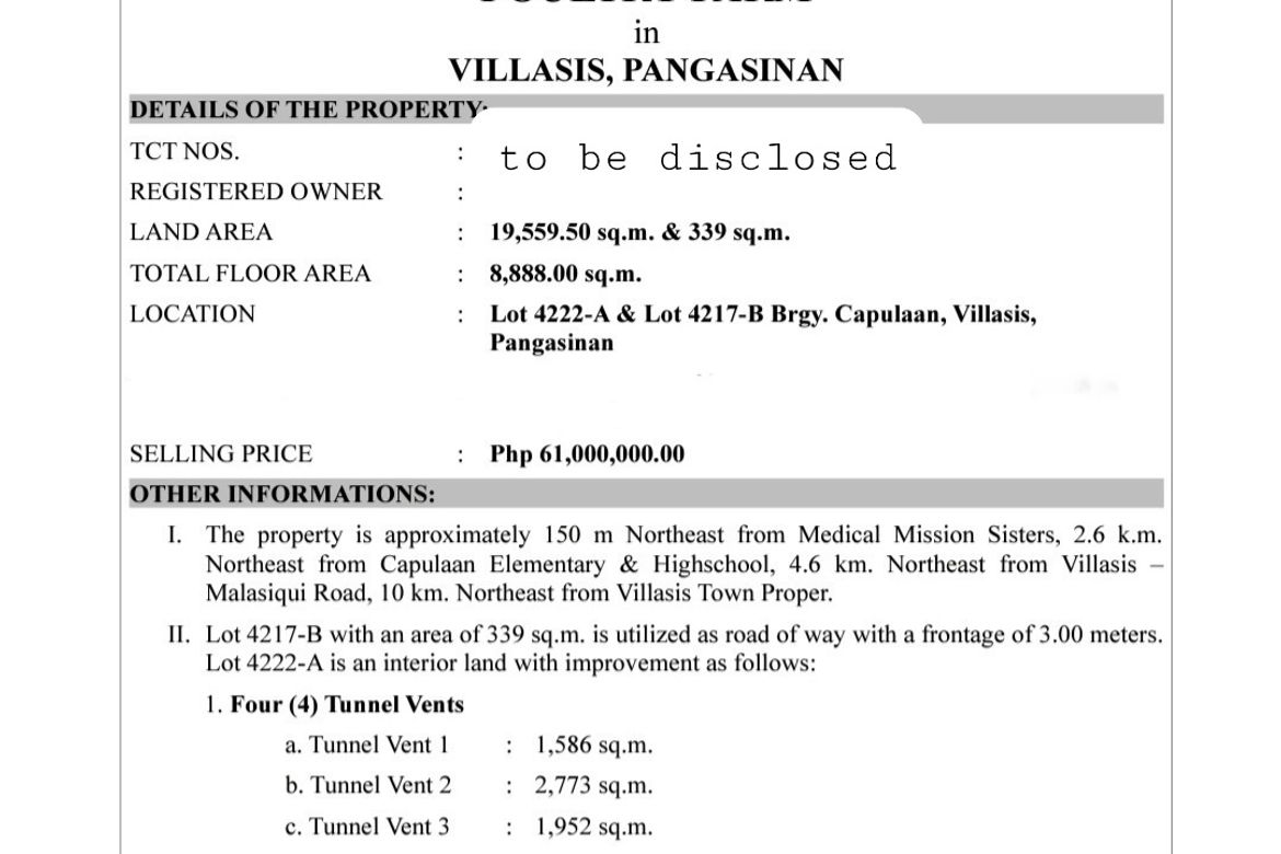 Land for Sale in Capulaan, Villasis, Pangasinan – photo 6