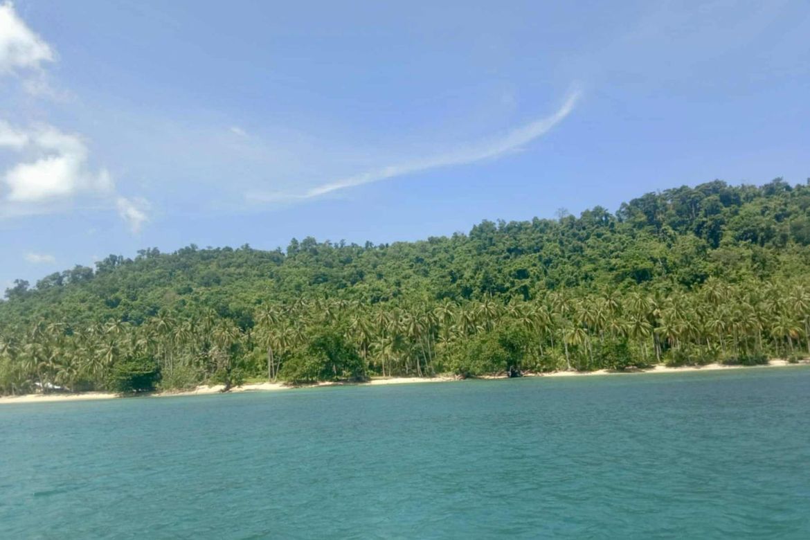 Land for Sale in Caramay, Roxas, Palawan – photo 2