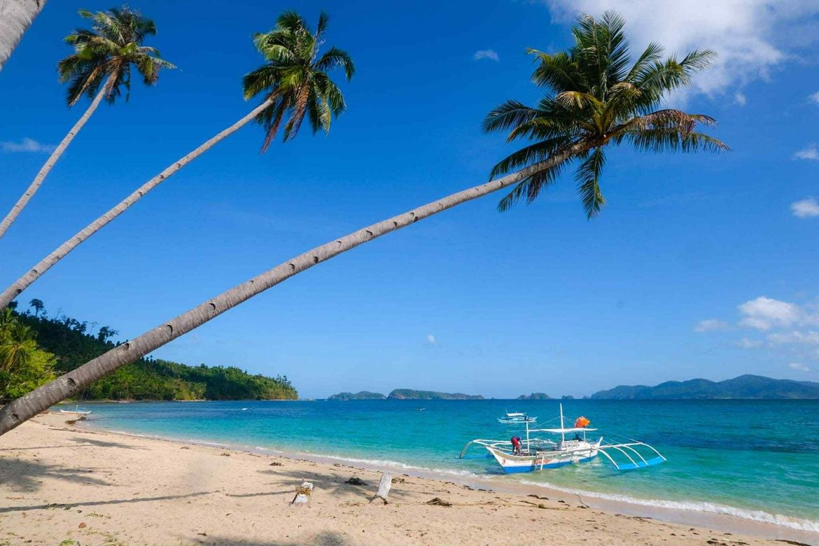 Land for Sale in Caramay, Roxas, Palawan – photo 5