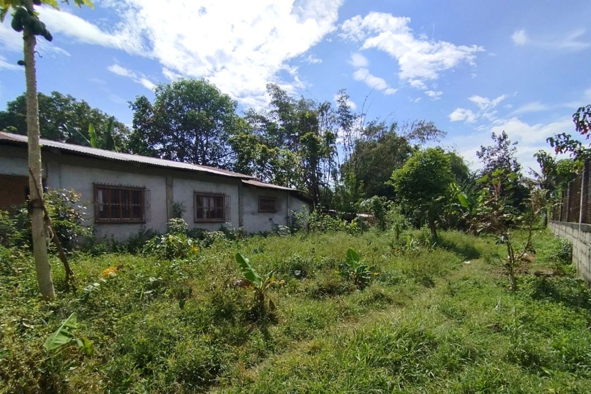 Land for Sale in Caramutan, Villasis, Pangasinan