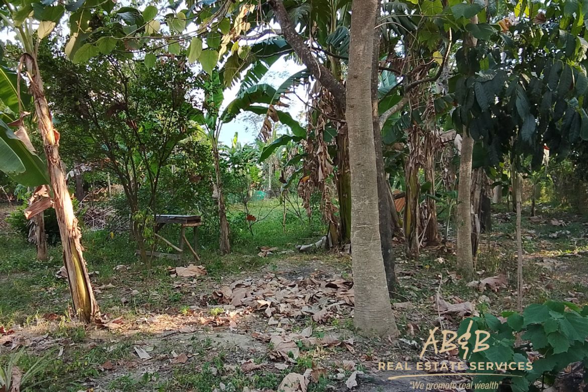 Land for Sale in Caramutan, Villasis, Pangasinan – photo 3