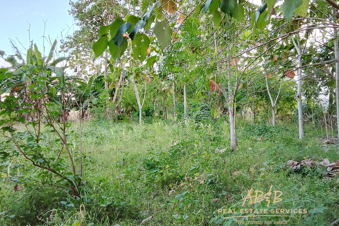 Land for Sale in Caramutan, Villasis, Pangasinan – photo 5