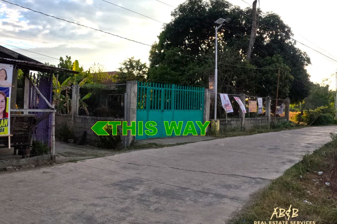 Land for Sale in Caramutan, Villasis, Pangasinan – photo 7