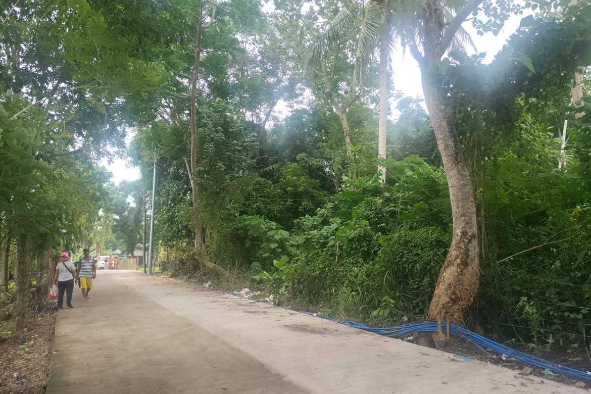 Land for Sale in Cararayan, Naga, Camarines Sur