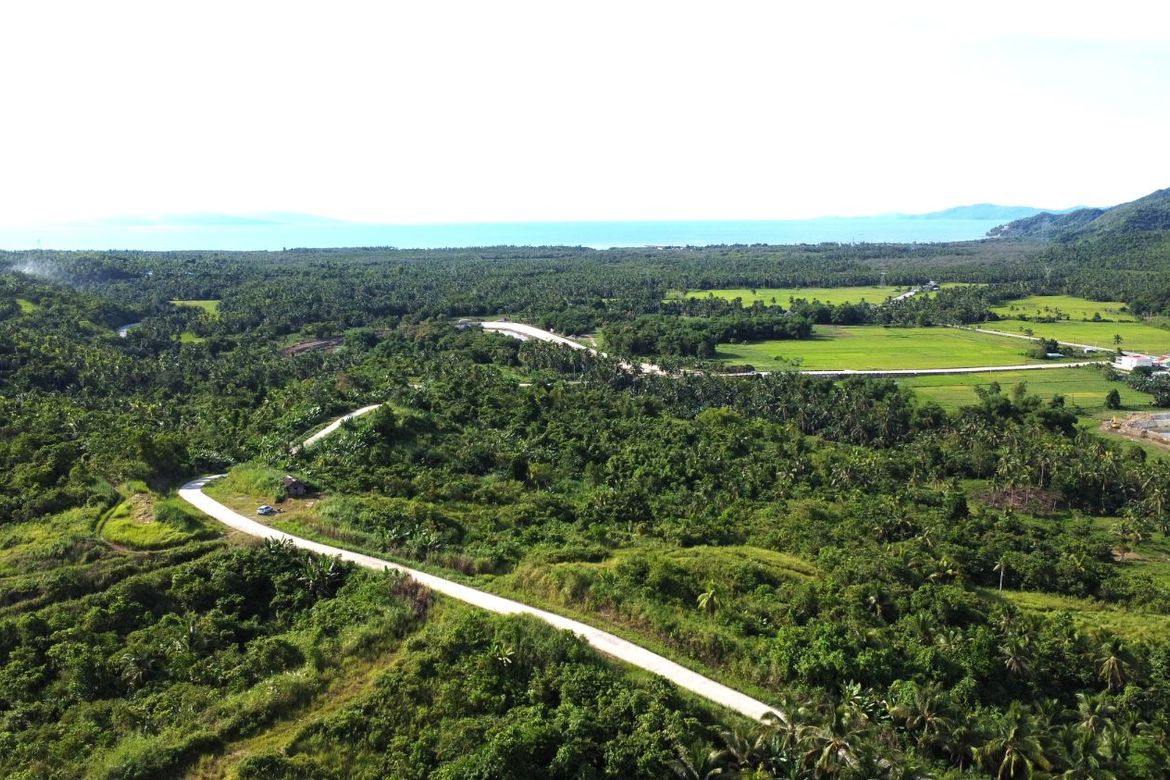 Land for Sale in Caraycaray, San Miguel, Leyte – photo 5