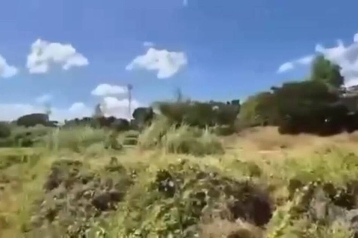 Land for Sale in Care, Tarlac, Tarlac – photo 4