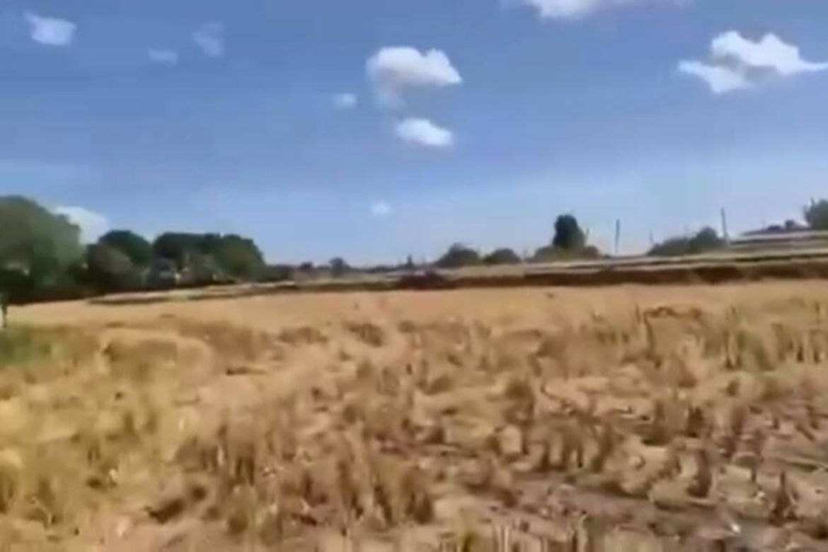 Land for Sale in Care, Tarlac, Tarlac – photo 5