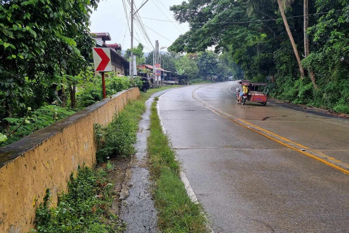 Land for Sale in Cares, Pugo, La Union