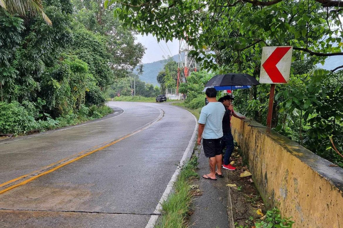 Land for Sale in Cares, Pugo, La Union – photo 2