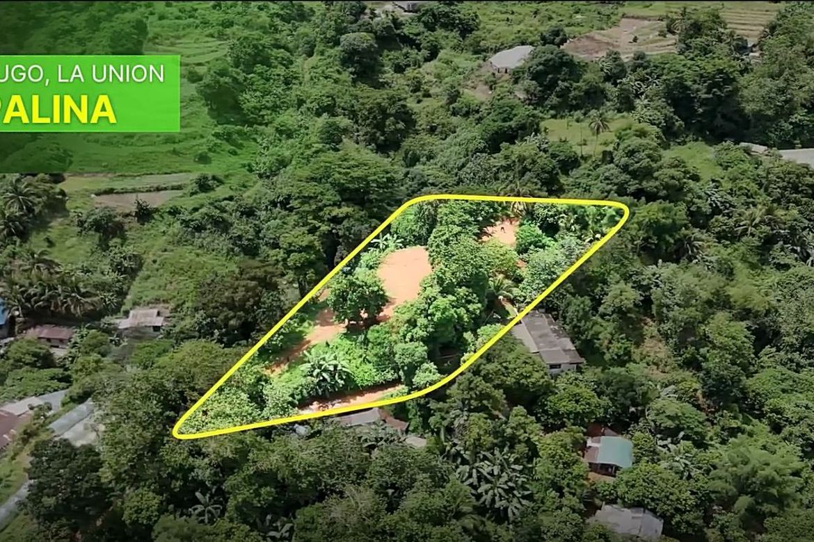 Land for Sale in Cares, Pugo, La Union – photo 2