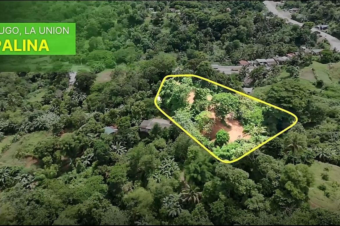 Land for Sale in Cares, Pugo, La Union – photo 6