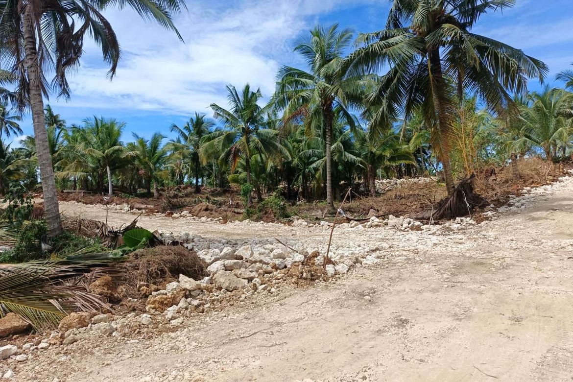 Land for Sale in Caridad, Pilar, Surigao del Norte – photo 5
