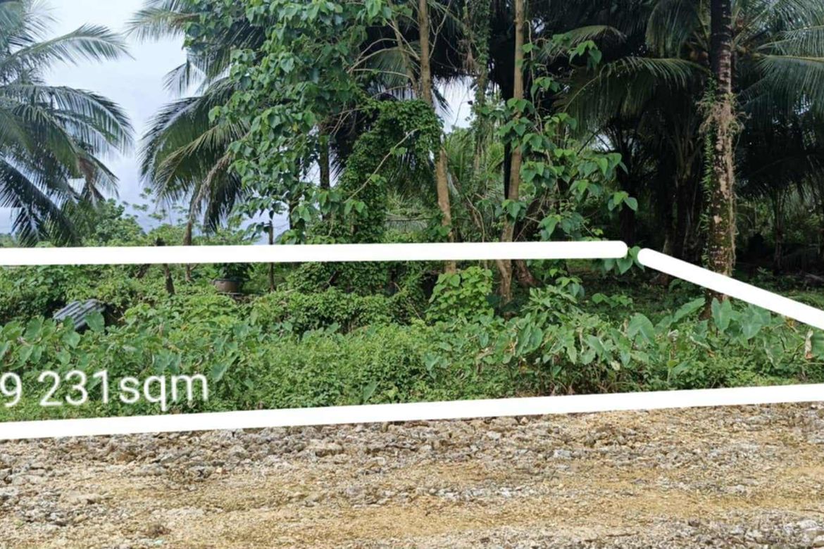 Land for Sale in Caridad, Pilar, Surigao del Norte – photo 10