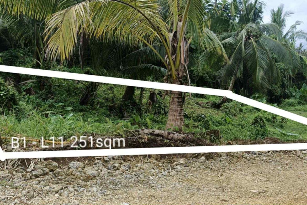 Land for Sale in Caridad, Pilar, Surigao del Norte – photo 11