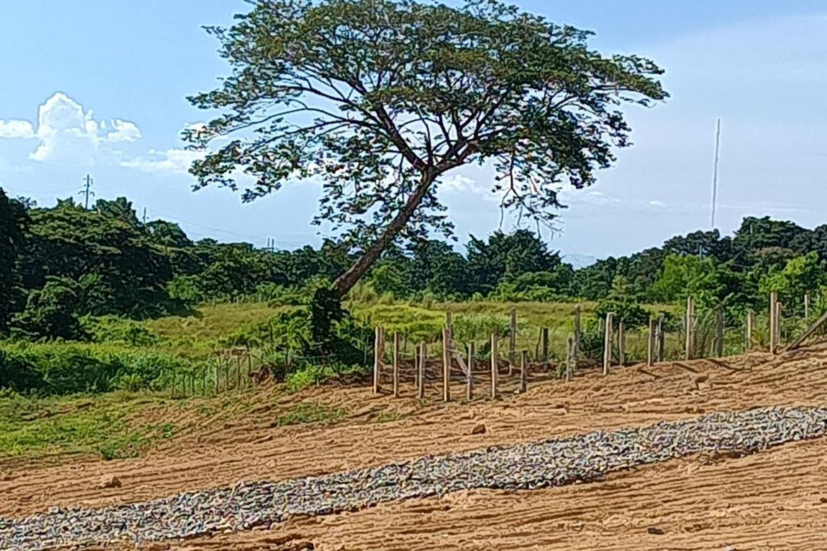 Land for Sale in Carig, Tuguegarao, Cagayan – photo 8