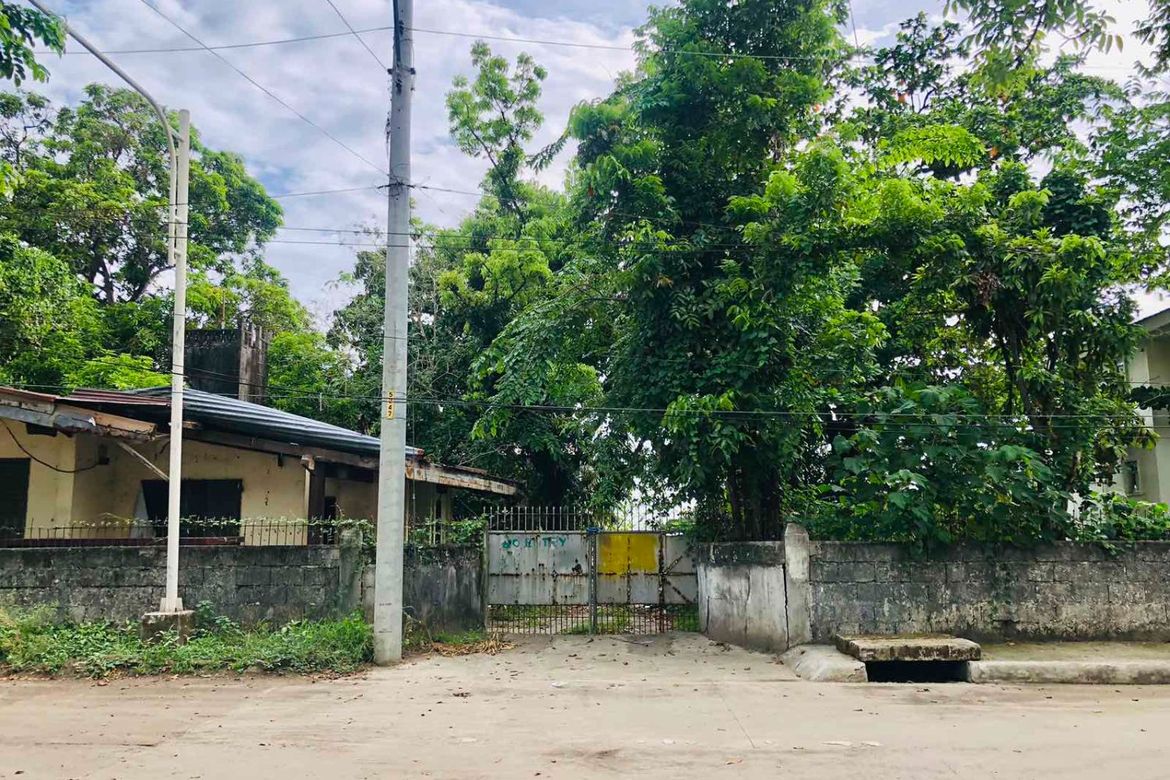 Land for Sale in Carlatan, San Fernando, La Union – photo 8