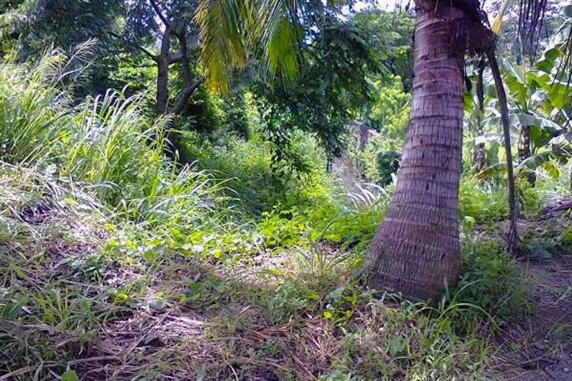 Land for Sale in Carmona, Makati, Metro Manila – photo 3