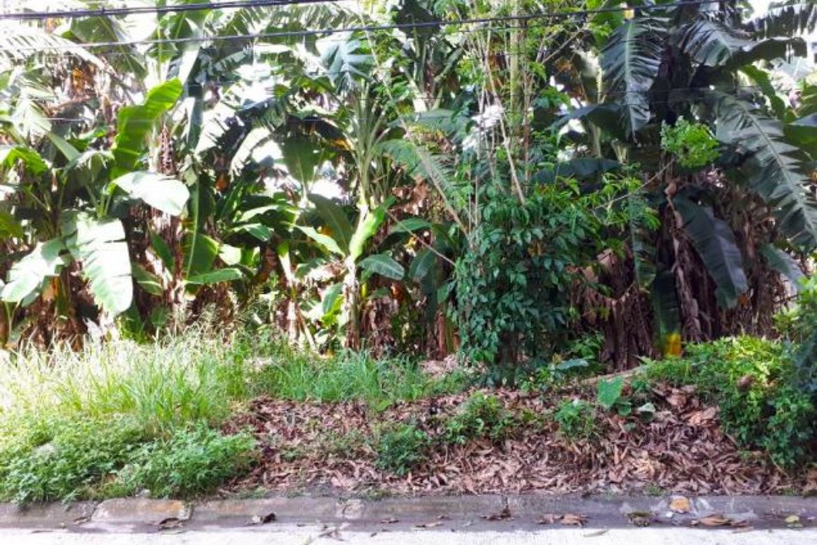 Land for Sale in Carmona, Makati, Metro Manila – photo 6