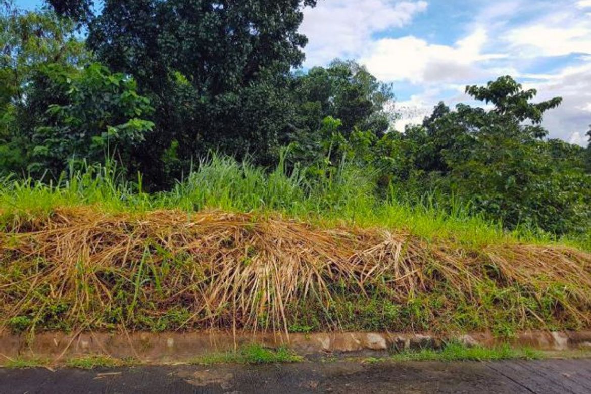 Land for Sale in Carmona, Makati, Metro Manila – photo 7