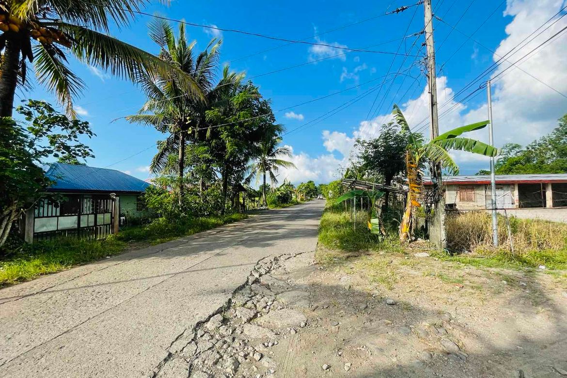 Land for Sale in Caroyroyan, Pili, Camarines Sur – photo 2