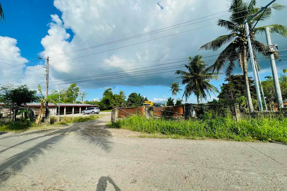 Land for Sale in Caroyroyan, Pili, Camarines Sur – photo 3
