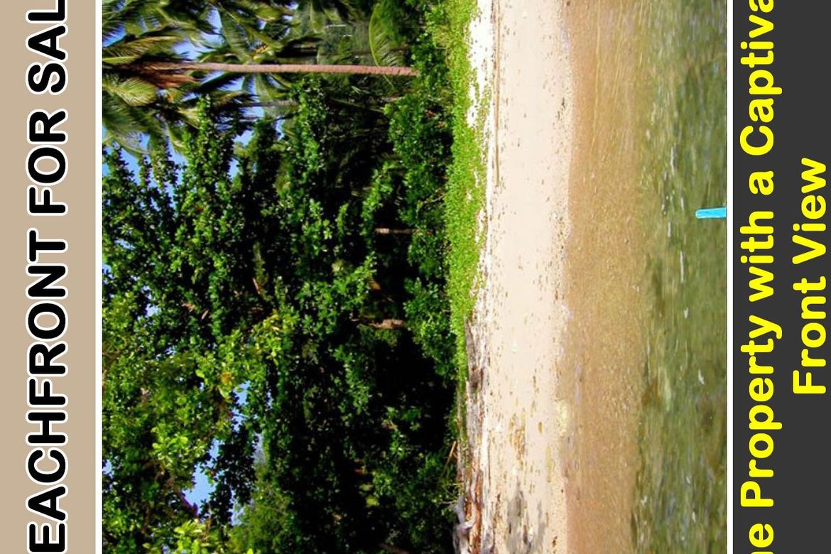 Land for Sale in Caruray, San Vicente, Palawan – photo 3
