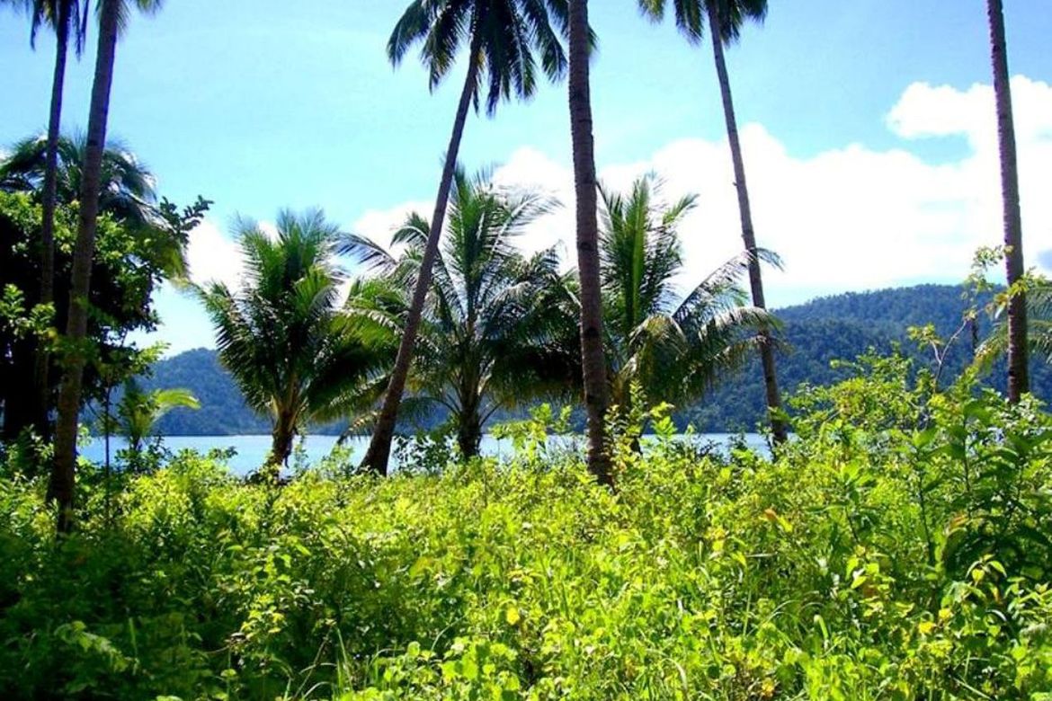 Land for Sale in Caruray, San Vicente, Palawan – photo 4