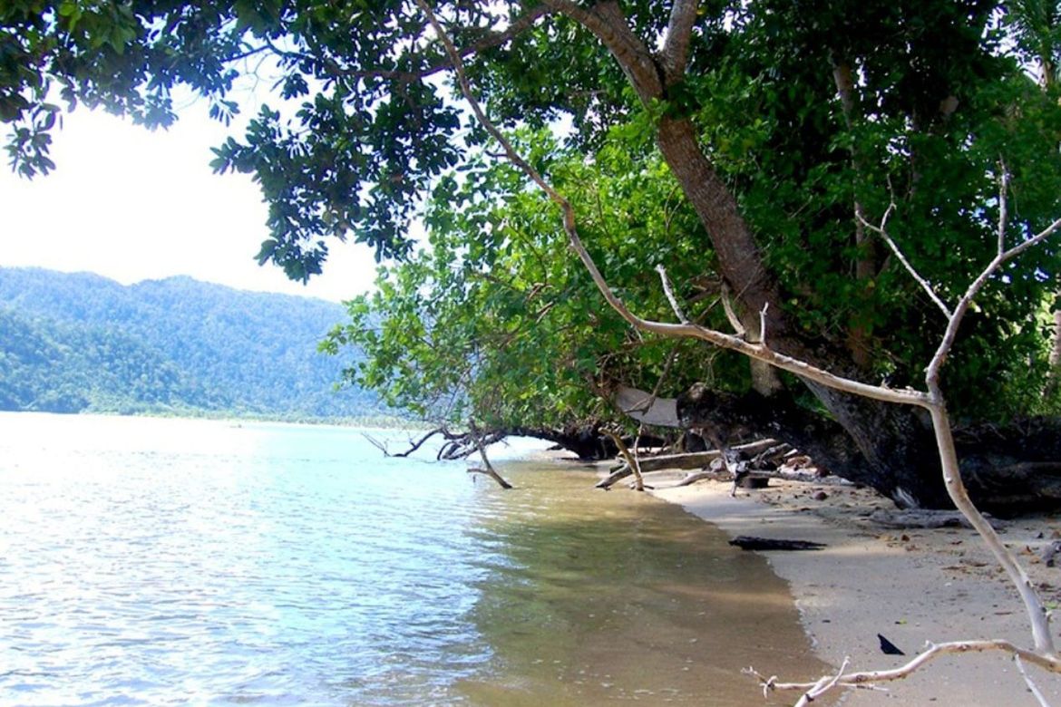 Land for Sale in Caruray, San Vicente, Palawan – photo 5